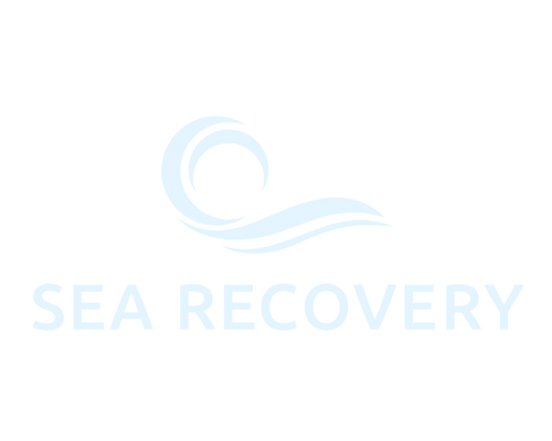 Searecovery.net